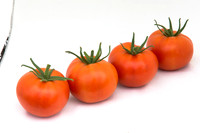 Tomato_Yigido_MX_Group_0005