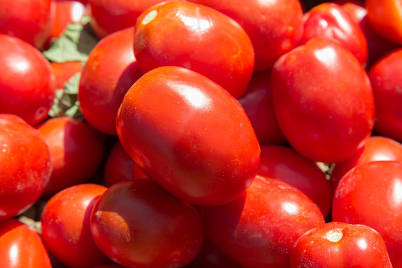 Tomato_SV8232TM_CA_00008