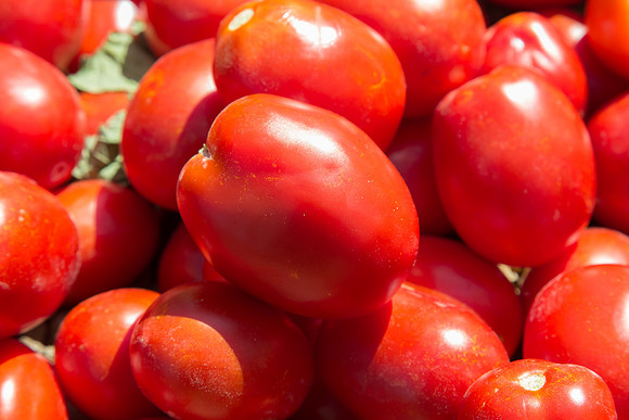 Tomato_SV8232TM_CA_00004