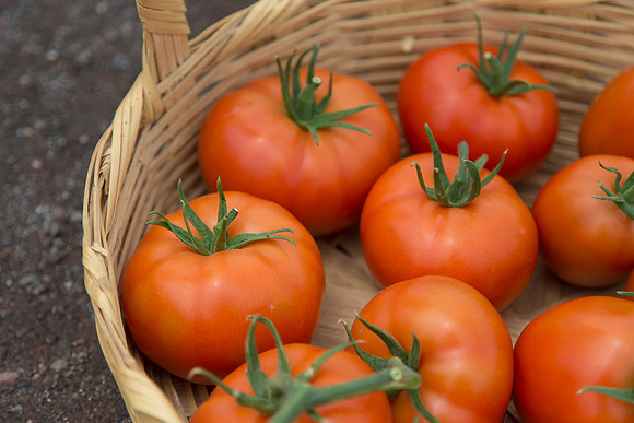 Tomato_SV4401TJ-Yigido-DRW7834_0012