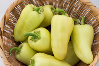 HotPepper_SV4951HL_MX_0033