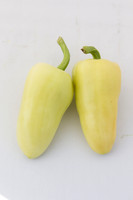 HotPepper_SV4951HL_MX_Group_0007