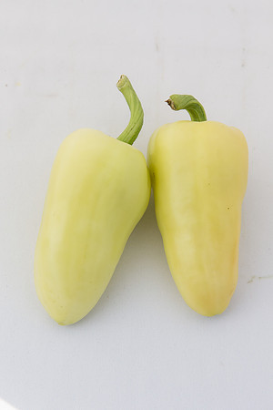 HotPepper_SV4951HL_MX_Group_0007