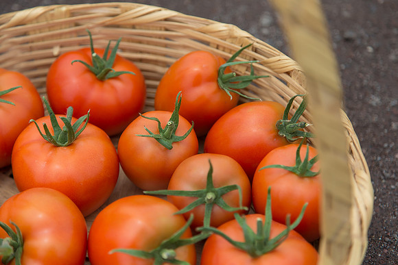 Tomato_SV4401TJ-Yigido-DRW7834_0016