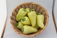 HotPepper_SV4951HL_MX_0020