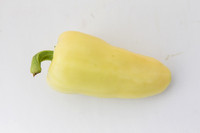 HotPepper_SV4951HL_MX_0044