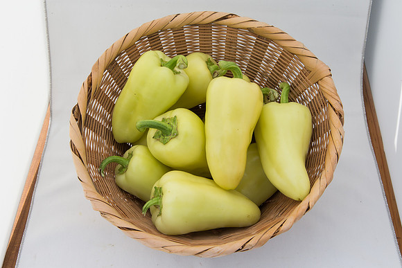 HotPepper_SV4951HL_MX_0036