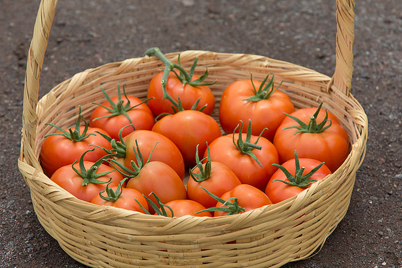 Tomato_SV4401TJ-Yigido-DRW7834_0008