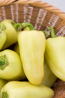 HotPepper_SV4951HL_MX_0027