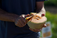 Melon_SV2876MW_CA_0030