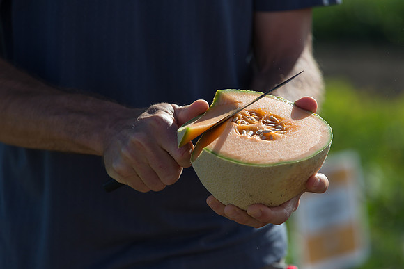 Melon_SV2876MW_CA_0030