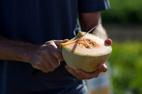 Melon_SV2876MW_CA_0028