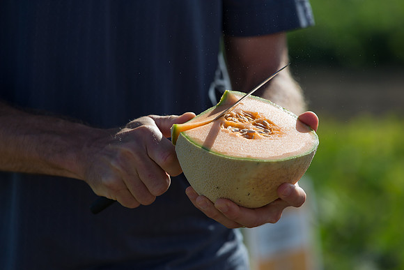 Melon_SV2876MW_CA_0028