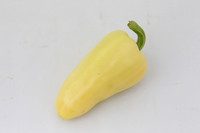 HotPepper_SV4951HL_MX_0037