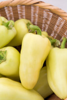 HotPepper_SV4951HL_MX_0024