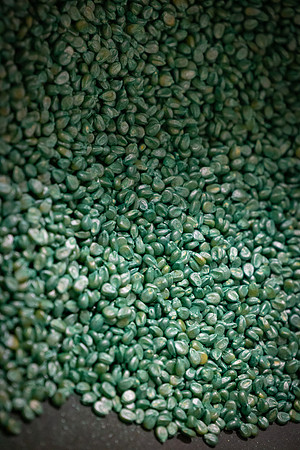 BCS_NA_Grinnell_Production_2296
