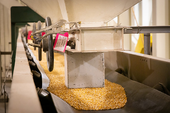 BCS_NA_Grinnell_Production_4472
