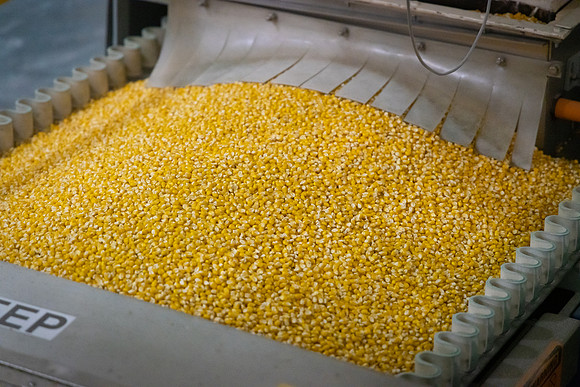 BCS_NA_Grinnell_Production_4301