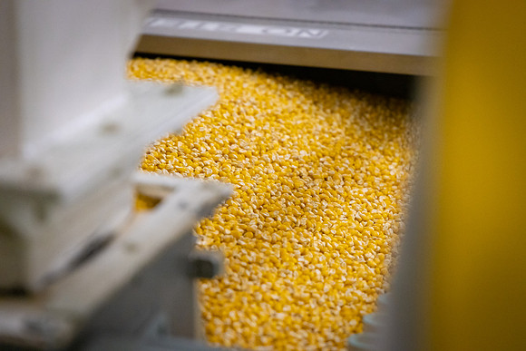 BCS_NA_Grinnell_Production_4357