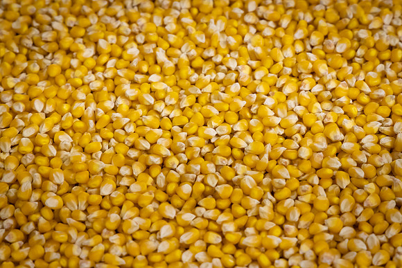 BCS_NA_Grinnell_Production_4340