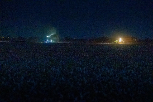 RRXCottonTexas_cdp_764