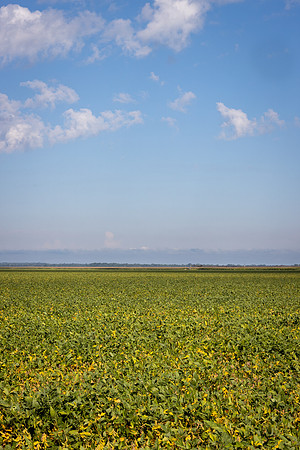 TimScates_545