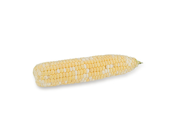 SweetCorn_Skyray_23