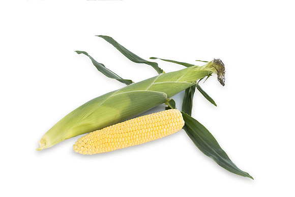 SweetCorn_Skyray_72
