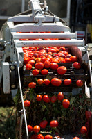 PTOM_Harvester_CA_00075