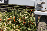 PTOM_Harvester_CA_00036