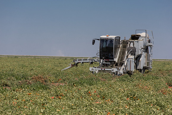 PTOM_Harvester_CA_00002