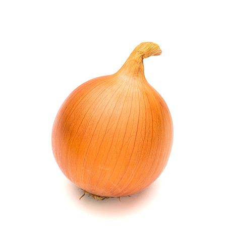 SV7904NY_015