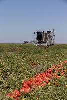 PTOM_Harvester_CA_00017