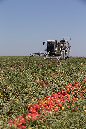 PTOM_Harvester_CA_00017