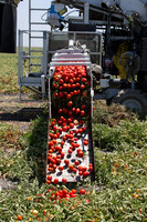 PTOM_Harvester_CA_00067