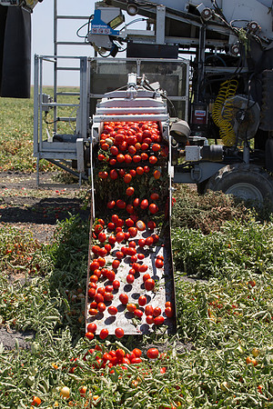 PTOM_Harvester_CA_00067
