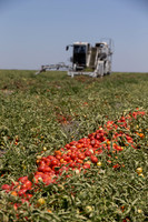 PTOM_Harvester_CA_00011