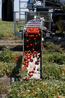 PTOM_Harvester_CA_00062