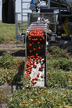 PTOM_Harvester_CA_00062