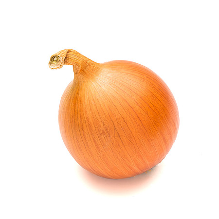 SV7904NY_013