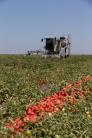 PTOM_Harvester_CA_00018