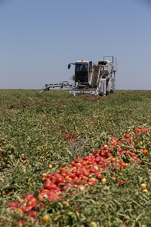 PTOM_Harvester_CA_00018
