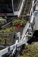 PTOM_Harvester_CA_00053