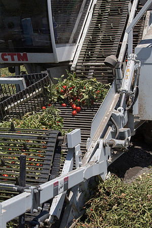 PTOM_Harvester_CA_00053