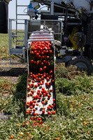 PTOM_Harvester_CA_00065