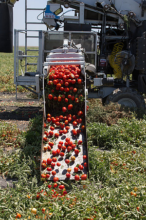 PTOM_Harvester_CA_00065