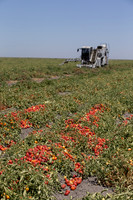 PTOM_Harvester_CA_00008