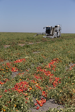 PTOM_Harvester_CA_00008