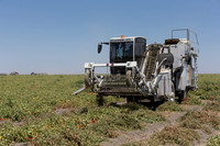 PTOM_Harvester_CA_00104