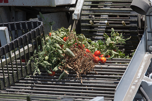 PTOM_Harvester_CA_00045